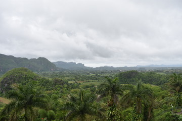 Fototapeta na wymiar Landscape with many palm trees and mountains from Hotel de los Jazmines in Vinales