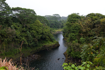 Fototapeta na wymiar View at Wailuku river from the top of Rainbow falls surrounded by a green lush forest, Big Island, Hawaii