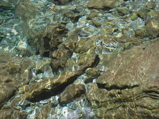 机の上の黄色いかにのおもちゃ