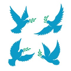Flying pigeon with olive branch