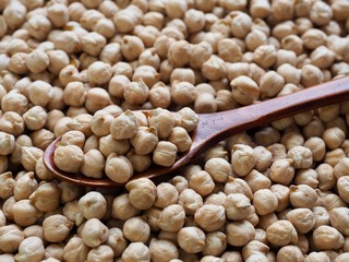 한국의 신선한 유기농 콩, 병아리 콩