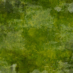 Fototapeta premium Green grungy texture