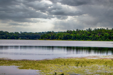 Obraz premium Beautiful and Relaxing scenery in a natural park