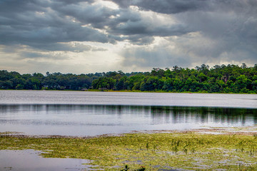 Beautiful and Relaxing scenery in a natural park