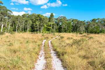 Fototapeta na wymiar The Mu Ko Lanta National Park on the island Ko Lanta Noi, the northern part of the Lanta island district. The park includes broadleaf forest, mangrooves woods, tree-covered hills and tropical jungle