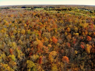 The aerial view of stunning fall foliage near Watertown, New York, U.S.A