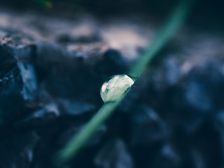 Water drop on grass