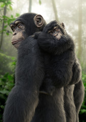 Chimpanzee mother carrying her young baby on her back with a forest background. 3d rendering