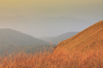Fototapeta premium Golden meadow and mountains during sunset. Beautiful natural landscape in the winter time,thailand