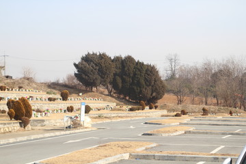 A typical grave group in Korea