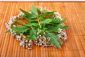 Valerian herb flower sprigs on a bamboo background.