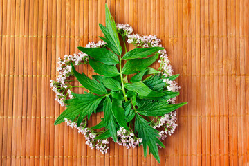Valerian herb flower sprigs on a bamboo background.