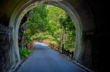 Fototapeta na wymiar 京都トレイル近くのトンネルの出口