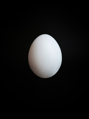 floating white egg on a black background