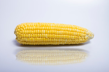 Beautiful yellow corn placed on a white background