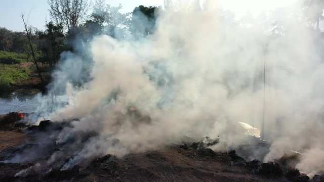 Bushfire or forest fire. Carbon emissions from smoke from wild fires causes climate change 