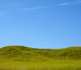 Rolling Green Hills Under Blue Sky