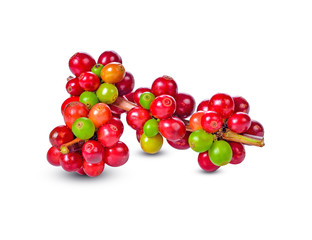 fresh coffee beans isolated on white background