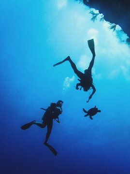 Low Angle View Of Friends Scuba Diving Undersea