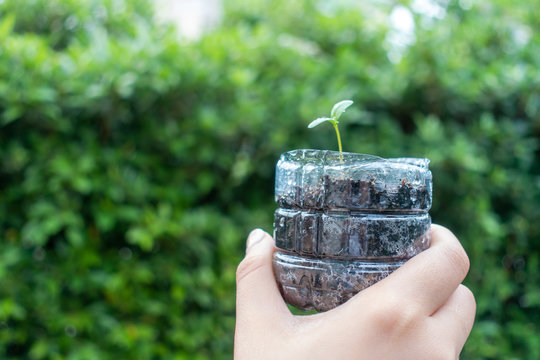 Plastic Bottles Recycled For Plant Pots