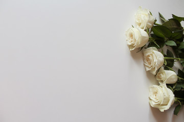 Bunch of white roses on blank surface with copy space for text. Backdrop for Saint Valentine's Day, International Women's Day, Mother's Day. Romantic greeting card, poster, invitation template