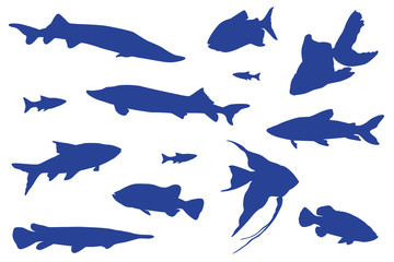 Blue fishes swimming vector isolated illustration. 
