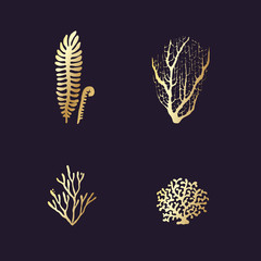 Set of underwater coral reef plants