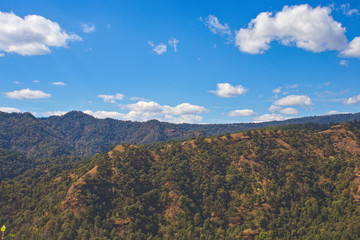 Bosque, montaña, cerro