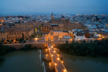 Cordoba aerial view at night