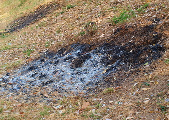 Piles of ash left over from burning of scrap twigs and leaves from the garden On the ground background With the copy space.