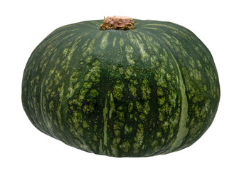 Fresh green pumpkin, isolated on a white background