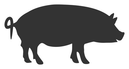 Swine vector icon. Flat Swine pictogram is isolated on a white background.
