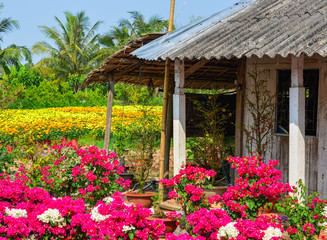 Fototapeta na wymiar Rural house with flower garden