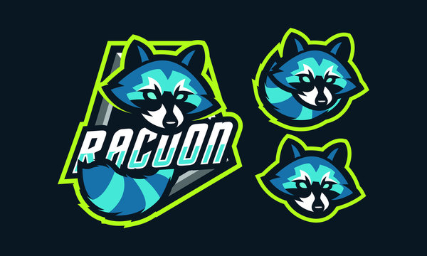 Raccoon mascot logo design for sport or e-sport logo team isolated on dark background