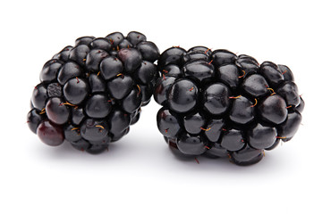 Blackberry Isolated on White Background
