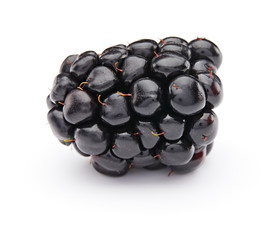 Blackberry Isolated on White Background