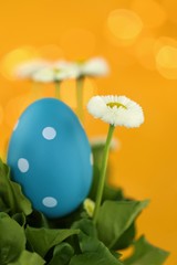 Easter holiday. Decorative speckled Easter egg  in white daisies on a bright orange background with shining bokeh. Spring festive bright background.
