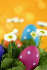 Easter holiday. Decorative speckled Easter eggs in white daisies on a bright orange background with shining bokeh. Spring festive bright background.