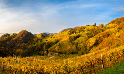 Wonderful view across the Prosecco hills