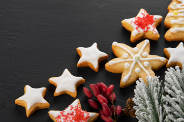 Christmas snow-covered spruce branch, home made star shaped cookies with icing on black background, copy space