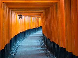Fushimi Inari shrine/Taisha, Shinto Shrine of god Inari. There are over 5000 vibrant orange torii...