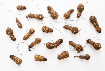 organic Jerusalem Artichokes on the white background