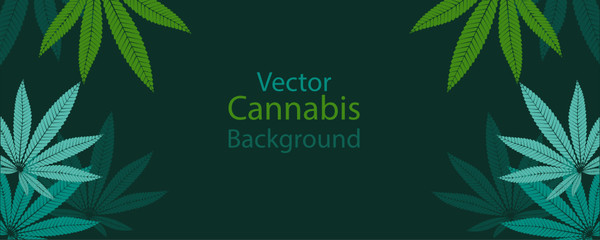 The horizontal vector background of cannabis leaves on dark green background.