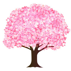 桜　春　花　アイコン