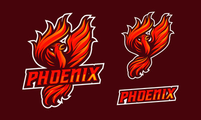 Phoenix mascot logo design for sport or e-sport logo isolated on dark background