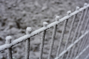 A metallic old rusty square-headed, square mesh, a cage decorated with white snow, bright hoarfrost...
