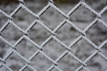 Metallic old rusty netting net decorated with white snow, bright hoarfrost and beautiful snowflakes.