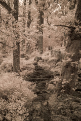 Obraz premium Der Norden von Wales