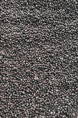 Close up of coffee beans for background                               
