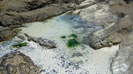 Ocean Pools